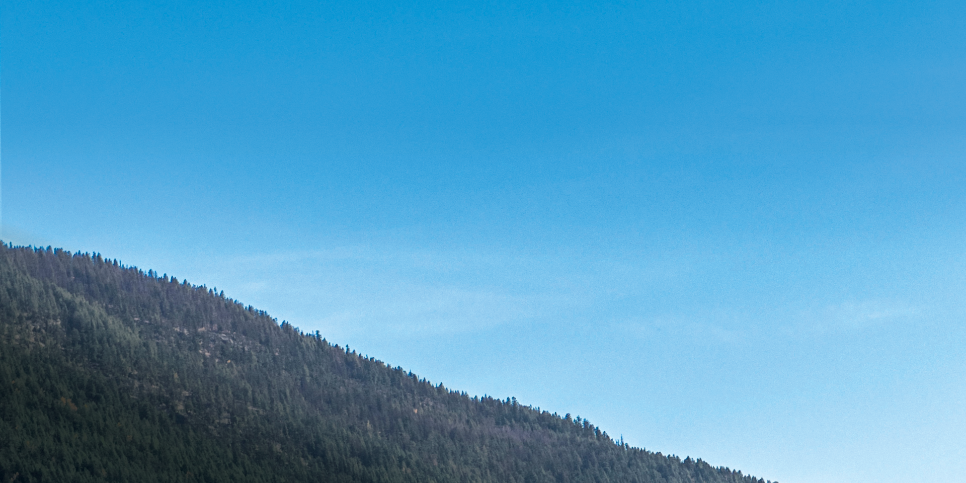 Hillside with trees under a blue sky